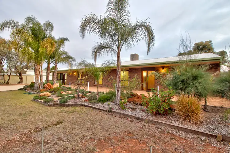 386 Old Sturt Highway, Barmera SA 5345
