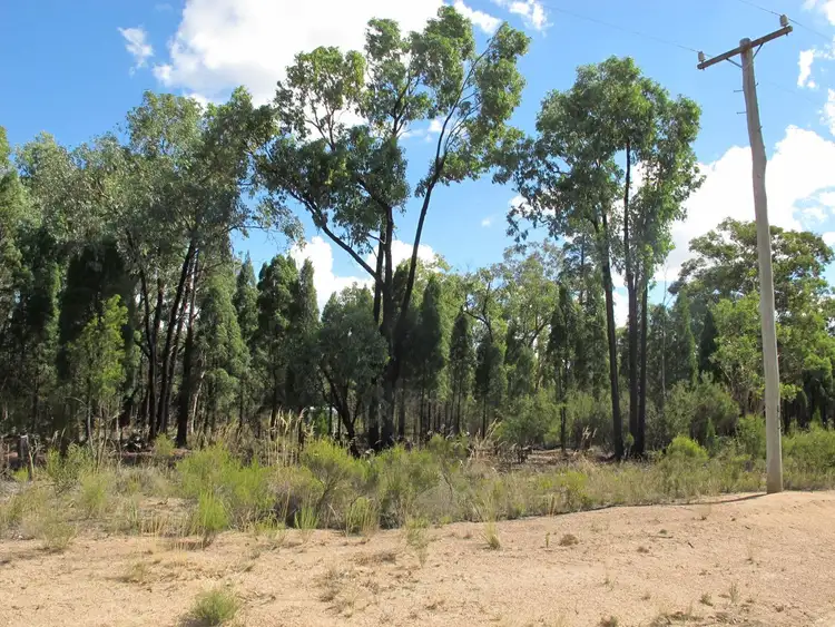 Sixth view of Homely rural property listing, 58 Pine Close, Mudgee NSW 2850