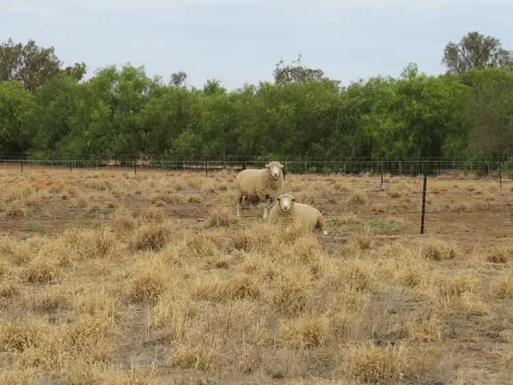 Fifth view of Homely rural property listing, 346 Southdown Road, Deniliquin NSW 2710