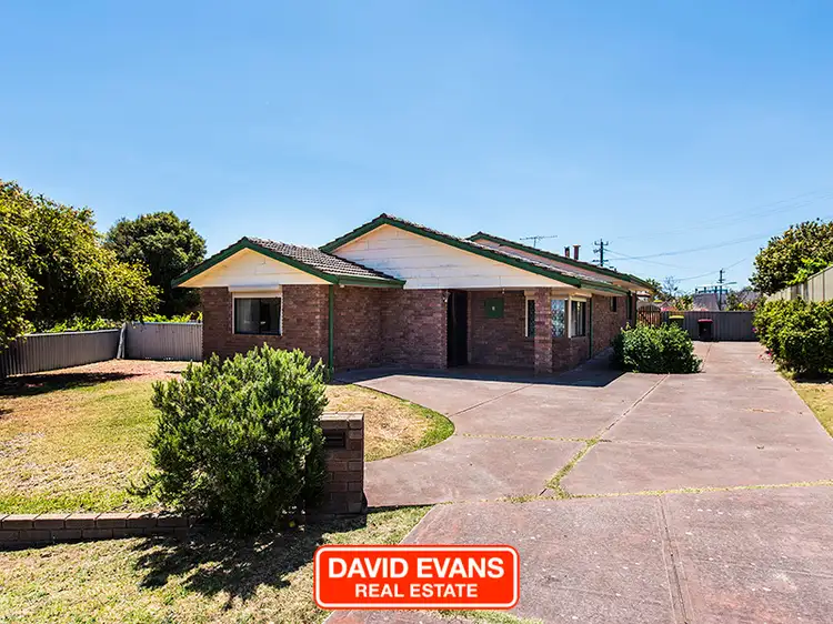Main view of Homely house listing, 3 Monaghan Court, Hamilton Hill WA 6163
