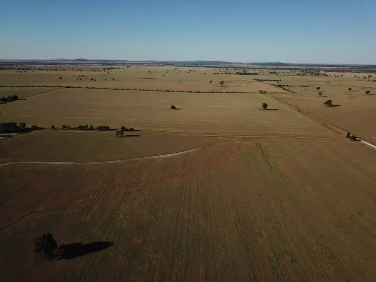 Fourth view of Homely rural property listing, Wildwood Salters Lane, Ardlethan NSW 2665