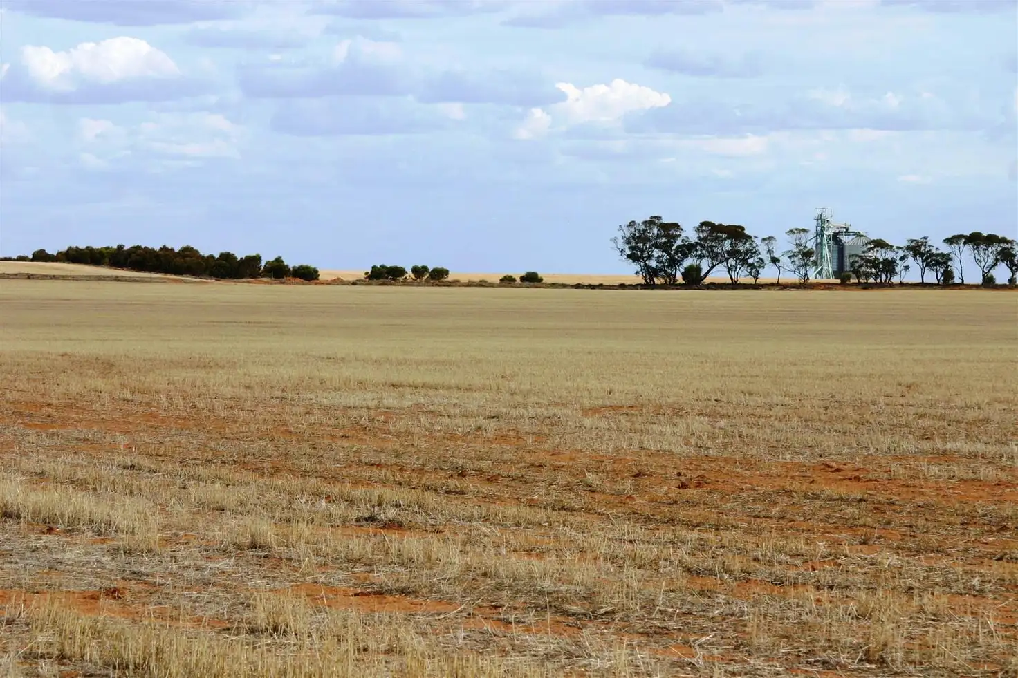 Main view of Homely rural property listing, Farm Lot 1 Calder Highway, Sea Lake North, Sea Lake VIC 3533