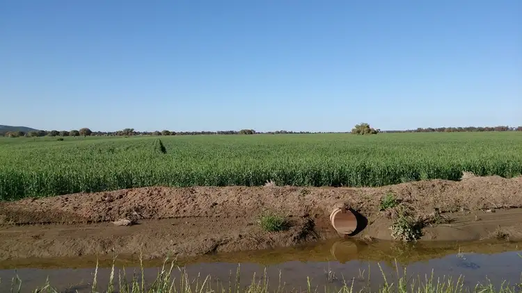 Sixth view of Homely rural property listing, Address available on request