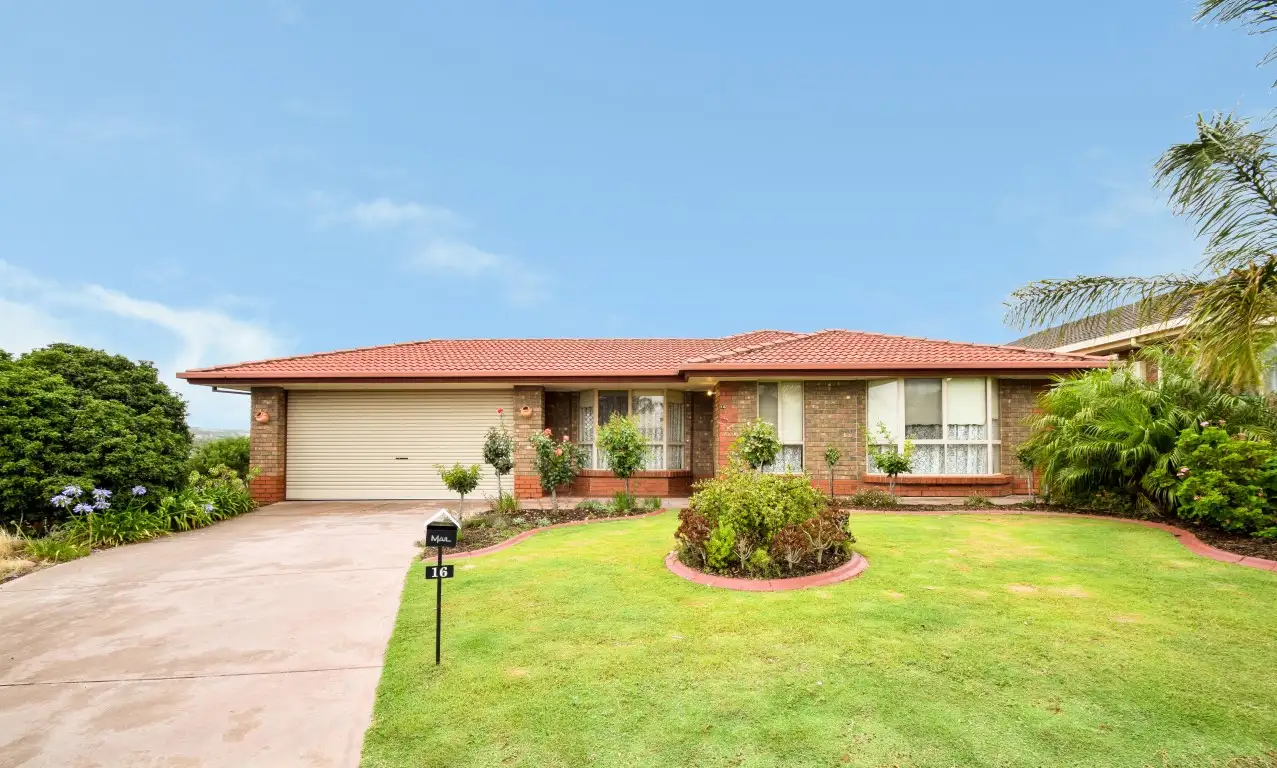Main view of Homely house listing, 16 Buttercup Grove, Morphett Vale SA 5162