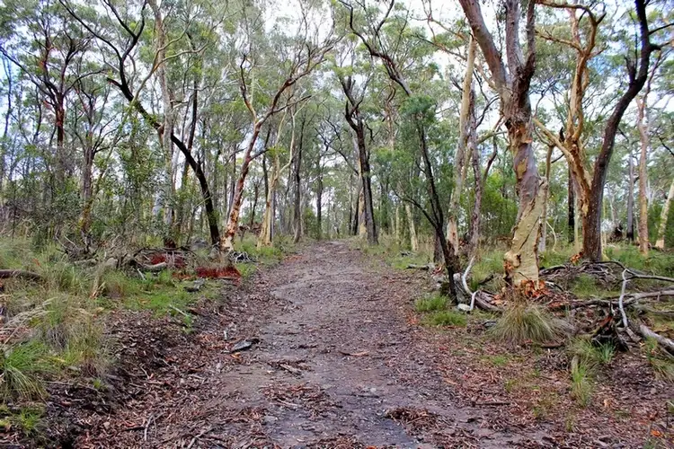 Third view of Homely rural property listing, 728 Bocoble Road, Mudgee NSW 2850