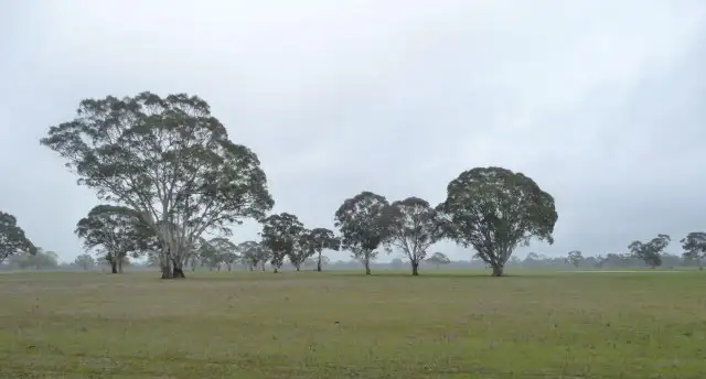 Second view of Homely rural property listing, - Nhill Harrow Road Wombelano via, Horsham VIC 3400
