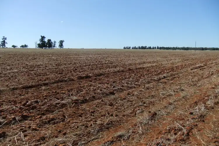 Main view of Homely rural property listing, "Trelawn" Wild Horse Tank Road, Merriwagga NSW 2652