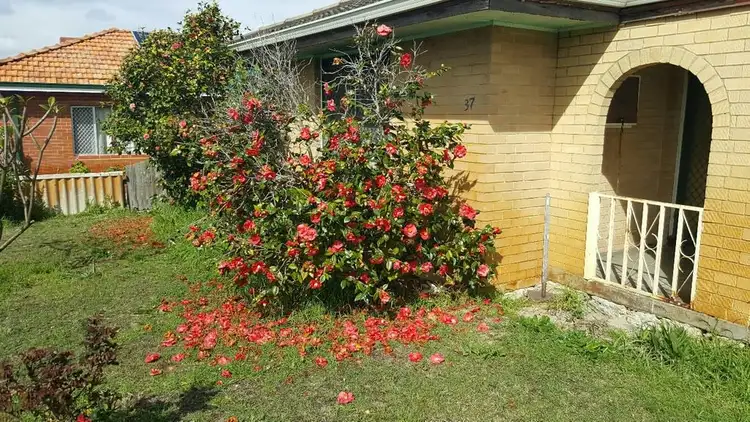 Second view of Homely house listing, 37 Bradley Way, Lockridge WA 6054