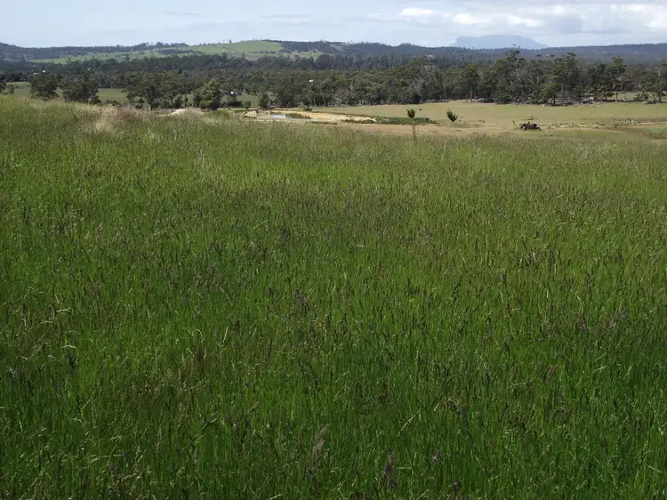 Sixth view of Homely rural property listing, 30 Bresnehans Road, Little Swanport TAS 7190