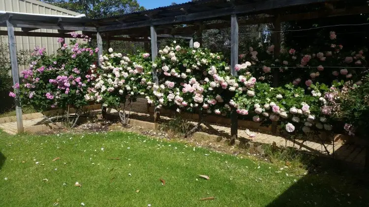 Fifth view of Homely rural property listing, Address available on request