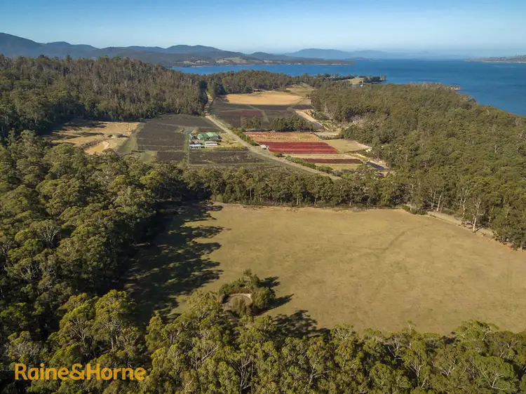 Fifth view of Homely land listing, Lot 4 Cygnet Coast Road, Lymington TAS 7109