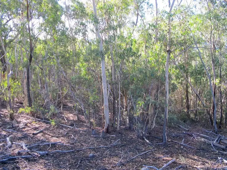 Fifth view of Homely rural property listing, 71 Perke Road, Mudgee NSW 2850