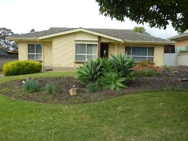 25 Newcombe Drive, Gilles Plains SA 5086