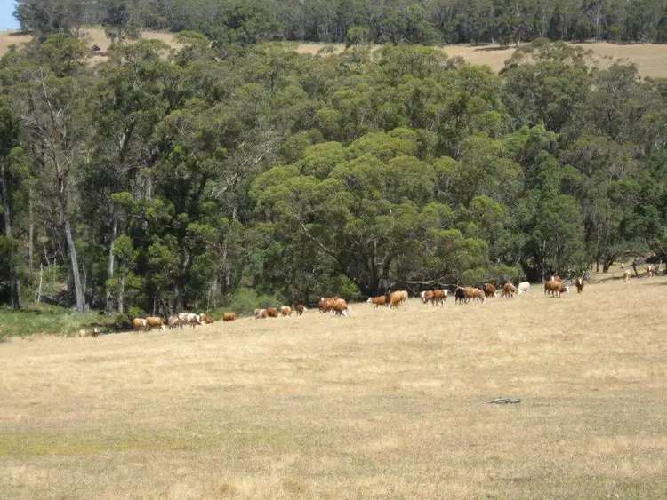 Fourth view of Homely rural property listing, 88 Denmark/Mount Barker, Denbarker WA 6324