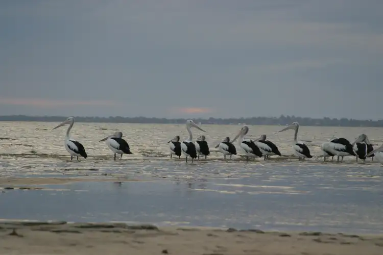 Seventh view of Homely land listing, Lot 339 Gallinago Loop, Coodanup WA 6210