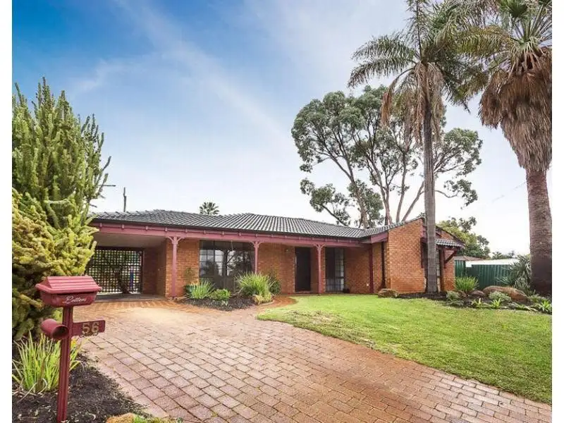 Main view of Homely house listing, 56 Sandpiper Loop, Yangebup WA 6164