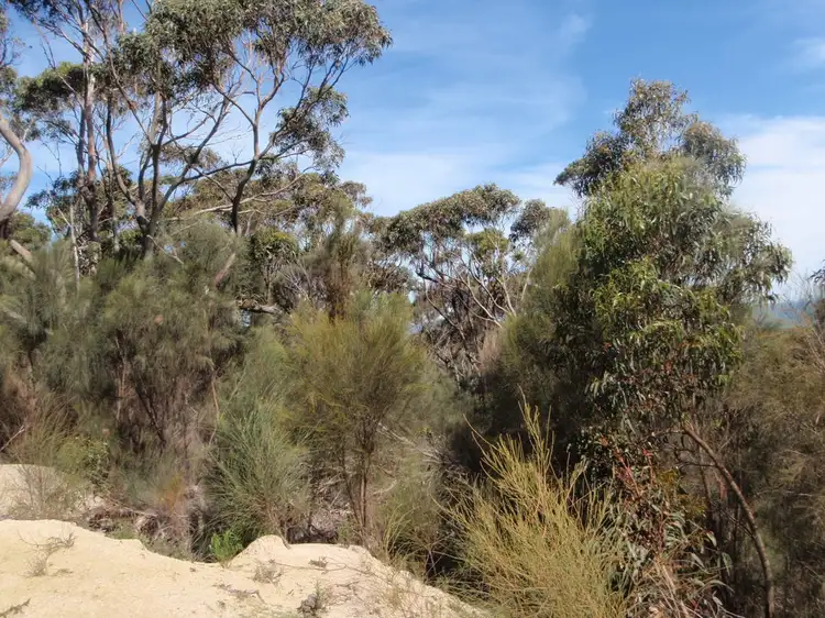 Fifth view of Homely rural property listing, Lot 1 Palana Road, Blue Rocks, Flinders Island TAS 7255