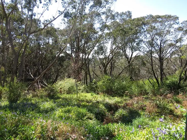 5 Mount Hay Road, Leura NSW 2780