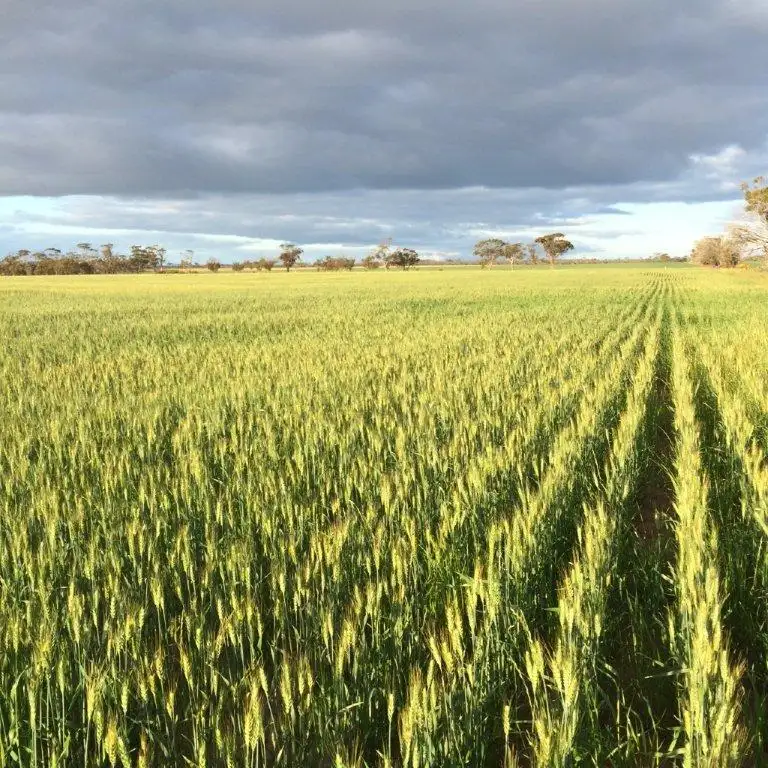 Main view of Homely rural property listing, Address available on request