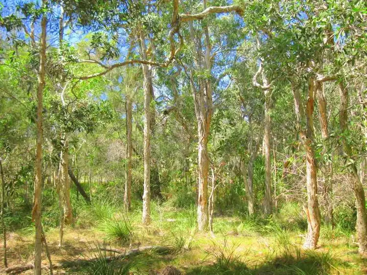 Seventh view of Homely land listing, 241 Allingham Way, Agnes Water QLD 4677