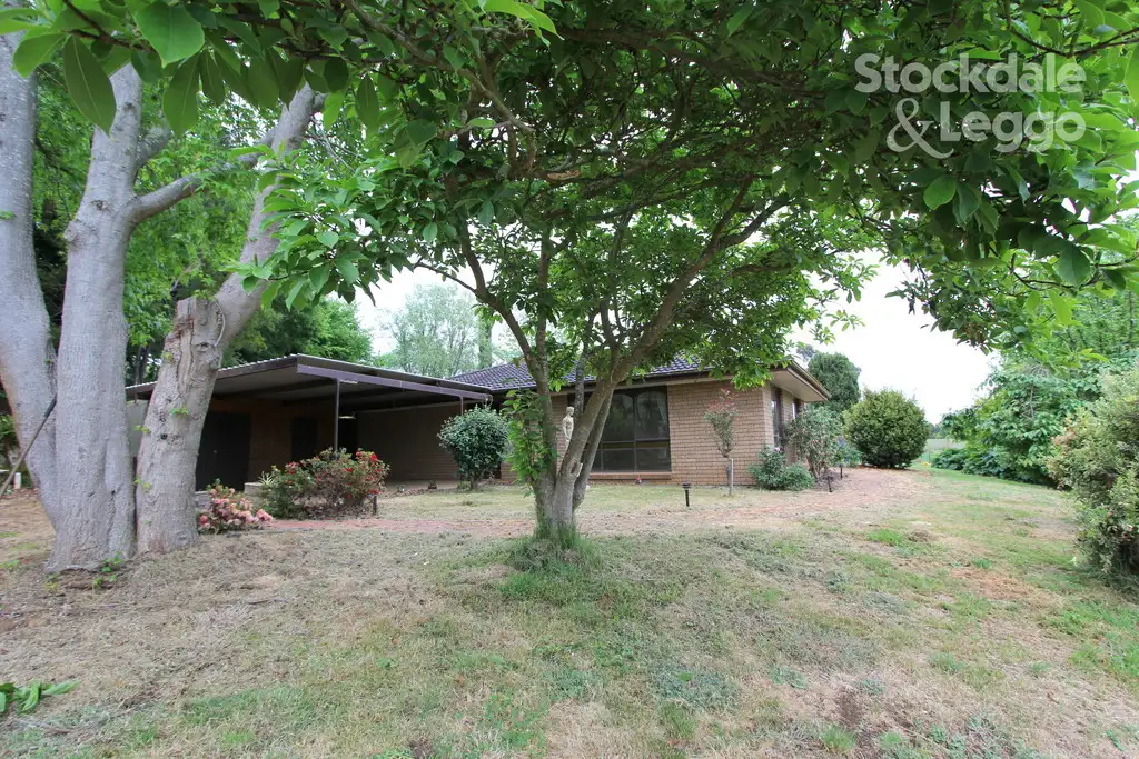 Main view of Homely house listing, 205 Roys Road, Budgeree VIC 3870