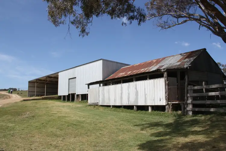 Fourth view of Homely rural property listing, 24 Wallawaugh Road, Mudgee NSW 2850
