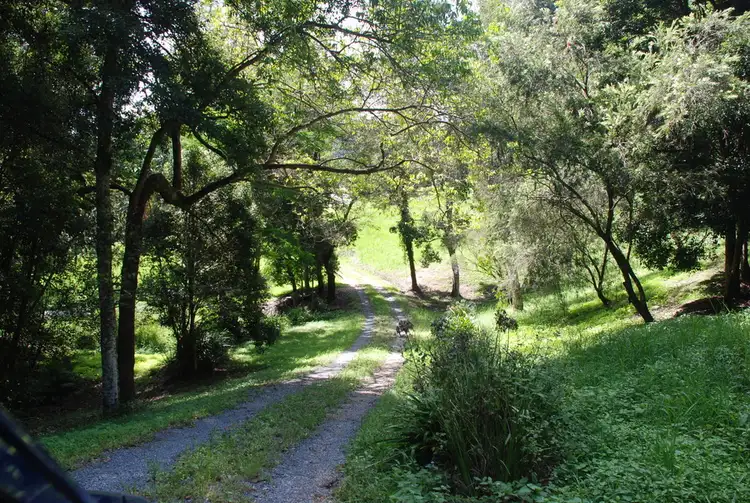 Fourth view of Homely house listing, 22 The Grove, Nunderi NSW 2484