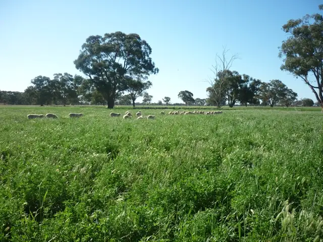 Main view of Homely rural property listing, Lot 2 Anderson, Moama NSW 2731