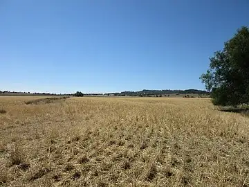 Third view of Homely rural property listing, Lot 2 'Alvin' Ridge Street, Attunga NSW 2345