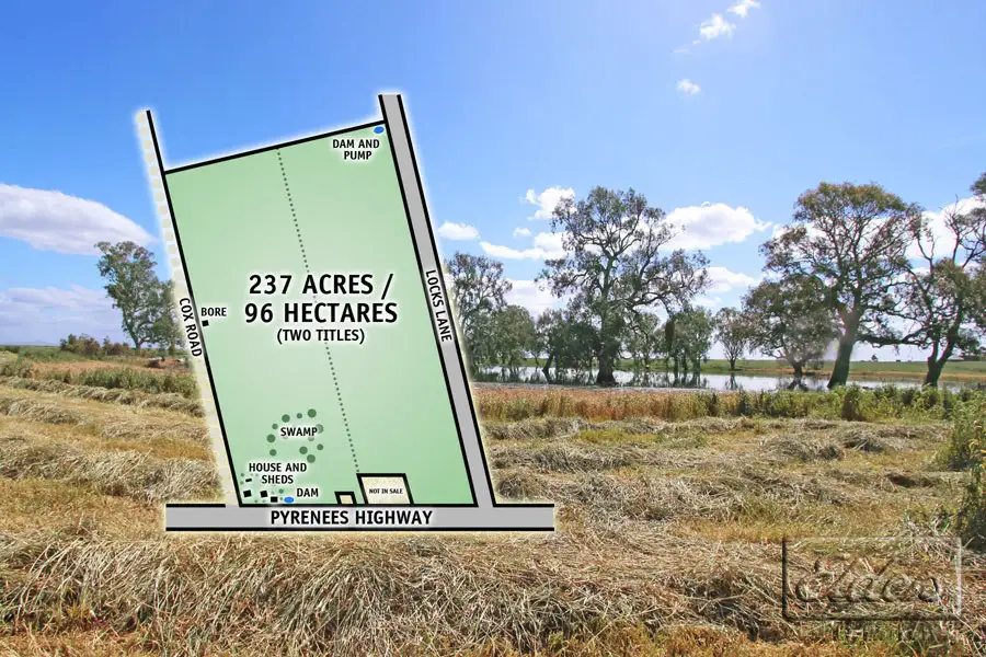 Main view of Homely rural property listing, 0 Pyrenees Highway, Carisbrook VIC 3464