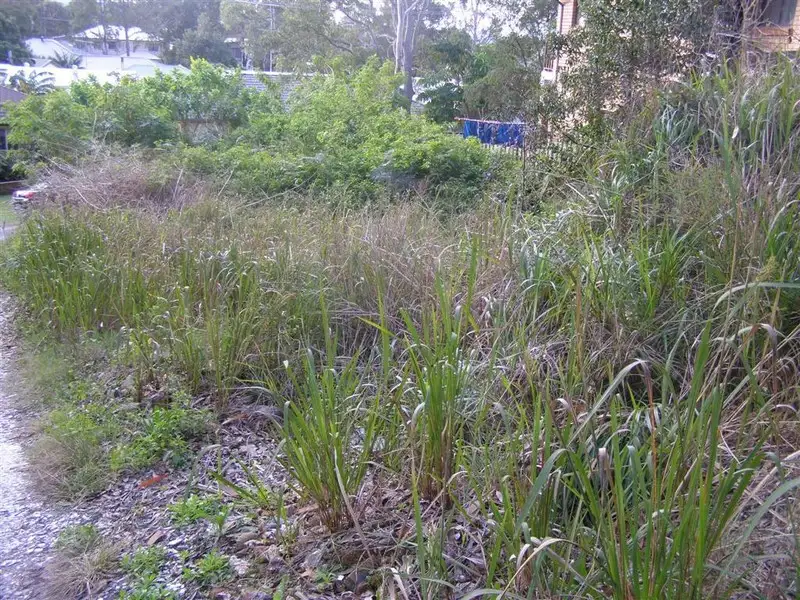 Main view of Homely land listing, 48A Johnson Parade, Lemon Tree Passage NSW 2319