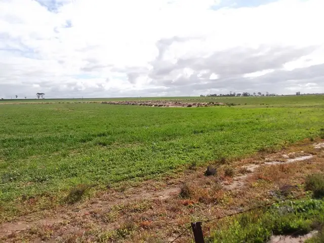 Fifth view of Homely rural property listing, Part 'Garns" Koorda-Wyalkatchem Road, Wyalkatchem WA 6485