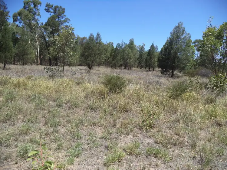 Sixth view of Homely rural property listing, 513 Old Cameby Road, Miles QLD 4415
