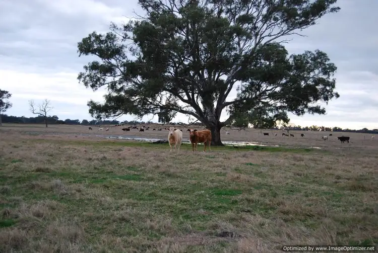 620 Fernbank-Glenaladale Road, Fernbank VIC 3864