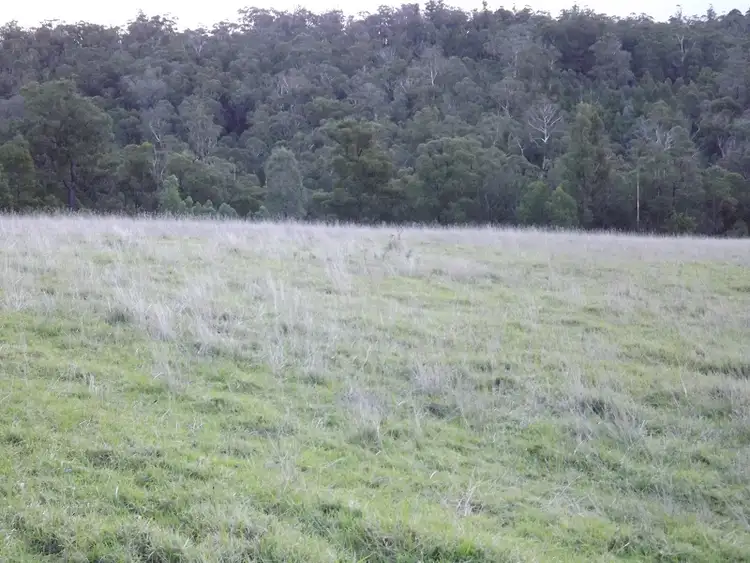 Fifth view of Homely rural property listing, 317 GARNETS TRACK / JARRAMOND, Orbost VIC 3888