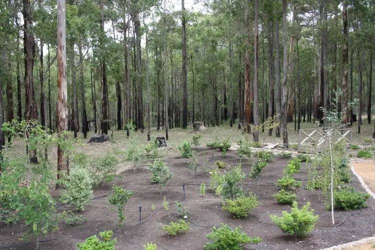 Fifth view of Homely house listing, 16 Bella Vista Drive, Manjimup WA 6258
