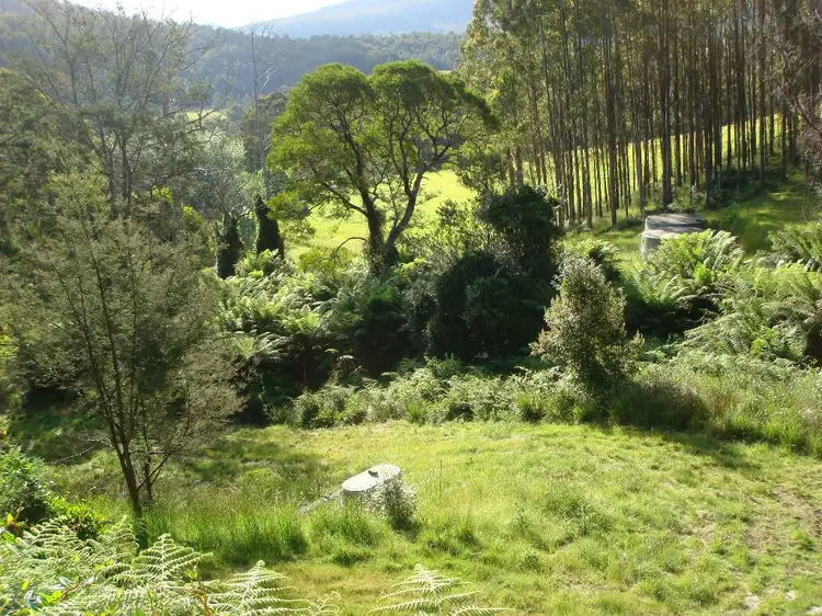 Second view of Homely rural property listing, 336 Brown Mountain Road, Karoola TAS 7267