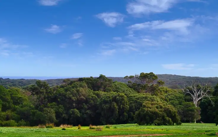 Fourth view of Homely land listing, 215/744 Burnside Park, Margaret River WA 6285
