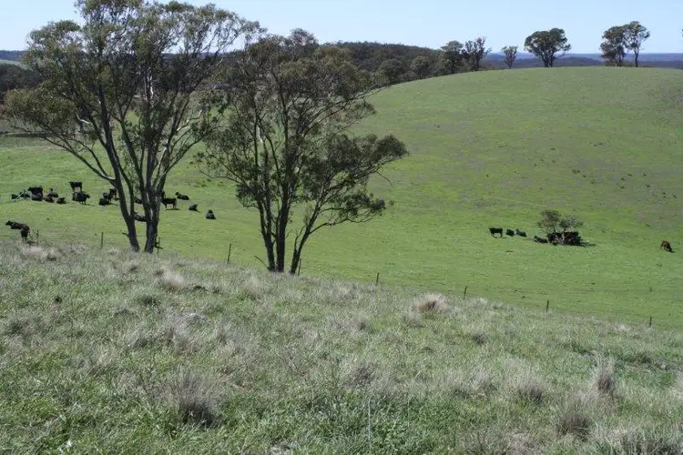 Third view of Homely rural property listing, Lot 25/2148 Towrang Rd, Greenwich Park Estate, Goulburn NSW 2580