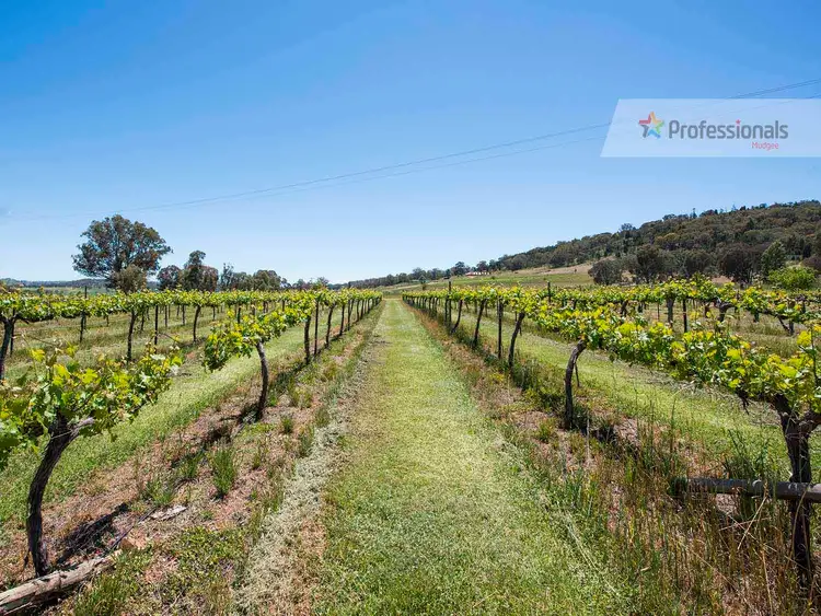 Second view of Homely rural property listing, 548 Henry Lawson Drive, Mudgee NSW 2850