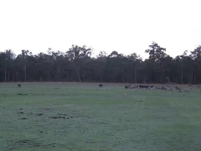 Fourth view of Homely rural property listing, 338 Junction Road, Manjimup WA 6258