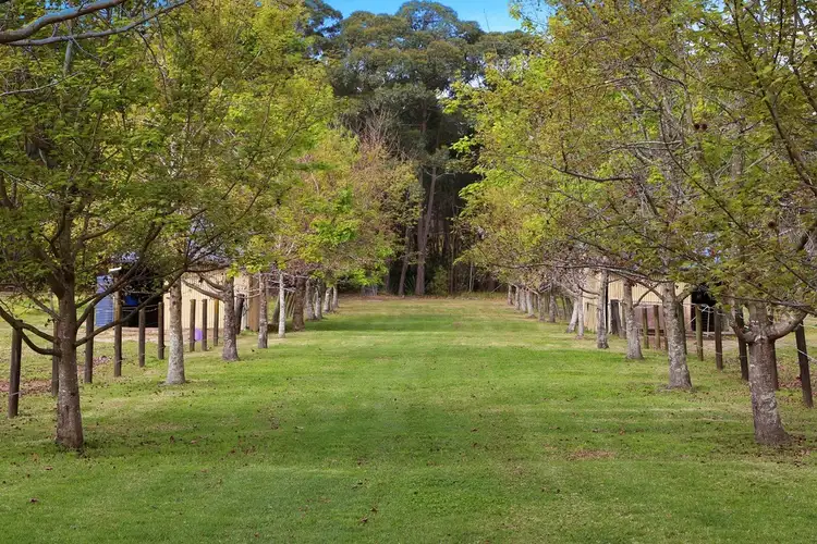 Second view of Homely house listing, 107 Berecry Road, Mangrove Mountain NSW 2250