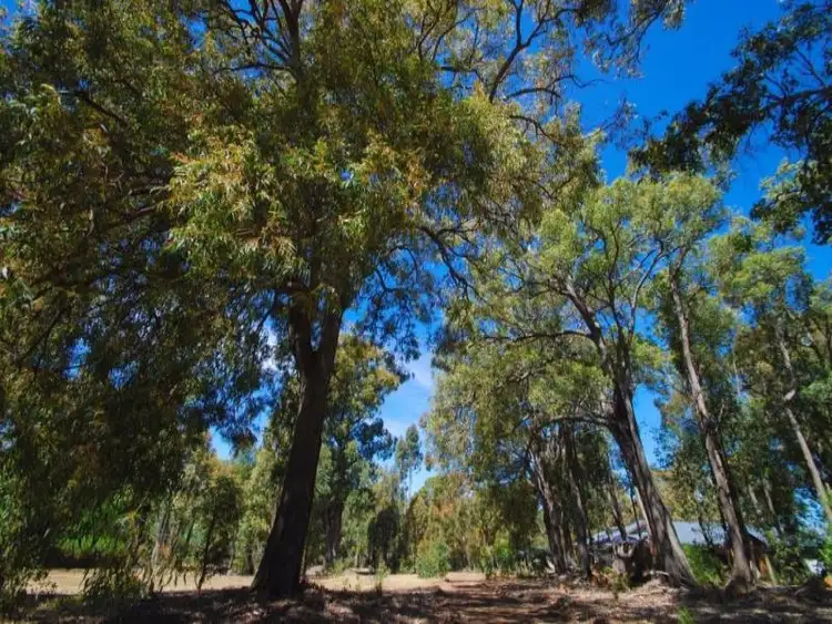 Fifth view of Homely land listing, 23 Hibbertia Court, Jarrahdale WA 6124