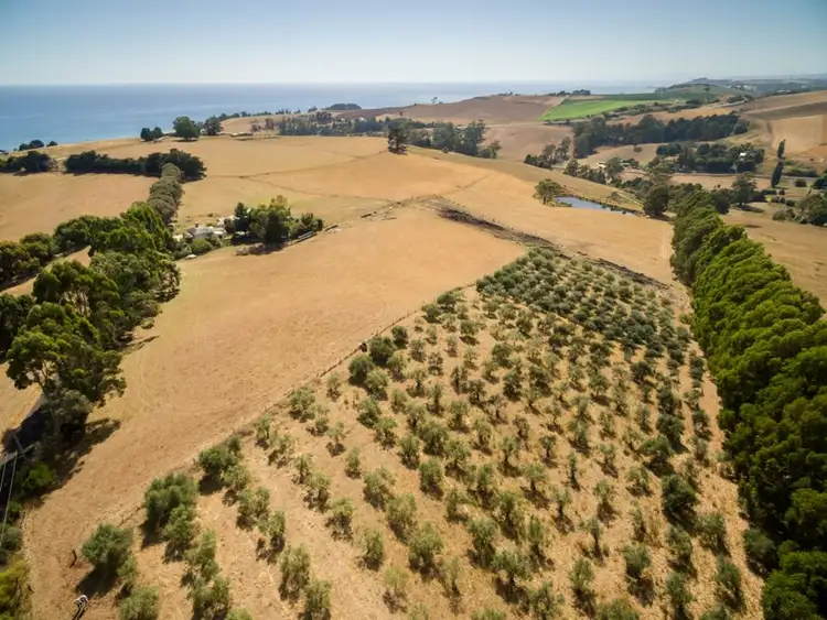 Fifth view of Homely house listing, 175 Zig Zag Road, Sulphur Creek TAS 7316