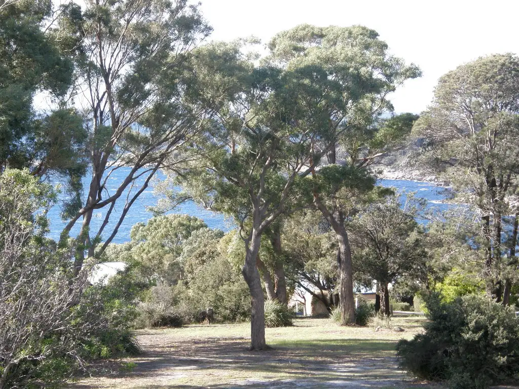 Main view of Homely house listing, 5 Felmingham Street, Binalong Bay TAS 7216