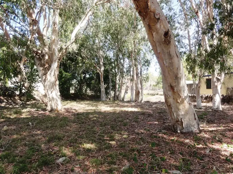 Main view of Homely land listing, 2 Pioneer Drive, Dingo Beach QLD 4800