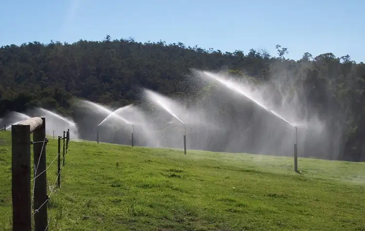Sixth view of Homely rural property listing, 1049 Donnybrook-Boyup Brook Road Via  Lowden, Beelerup WA 6239