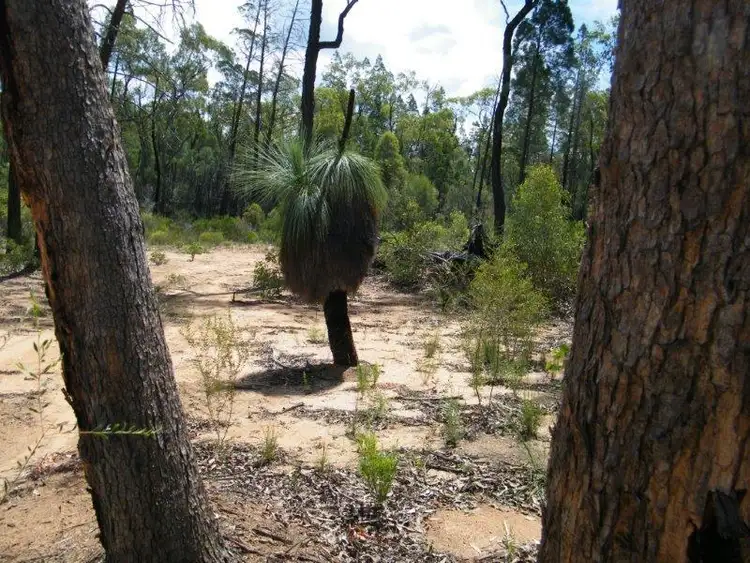 Fifth view of Homely land listing, Lot 6 Premer, Premer NSW 2381