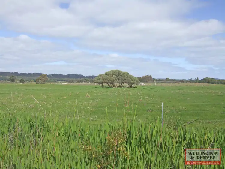 Second view of Homely rural property listing, 2944 Lower Denmark Road, Youngs Siding WA 6330