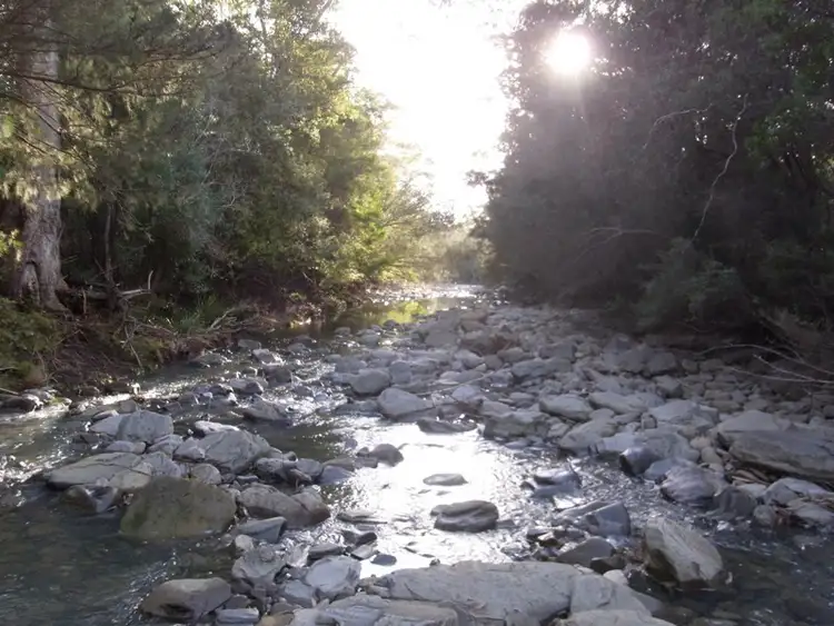 Third view of Homely rural property listing, Lot 1 Tasman Hwy, Bicheno TAS 7215